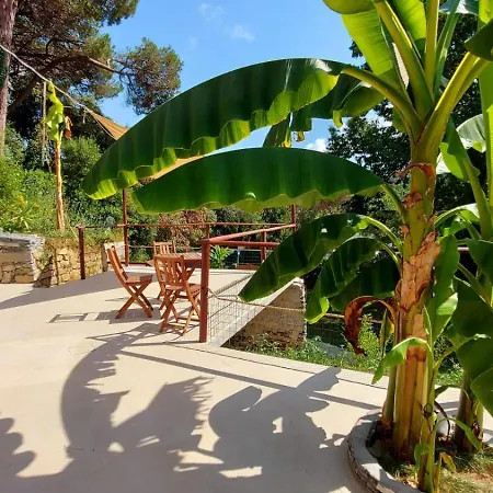Gæstehus Bamboo Area Portofino Free Parking 3*