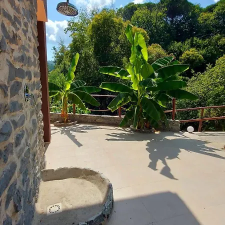 Bamboo Area Portofino Free Parking